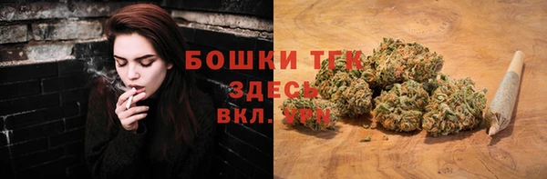 прущие грибы Алзамай