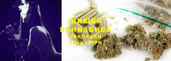 прущие грибы Алзамай