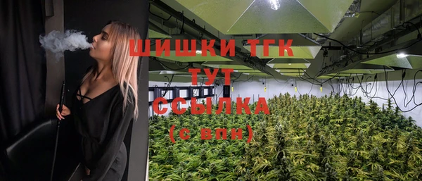 прущие грибы Алзамай
