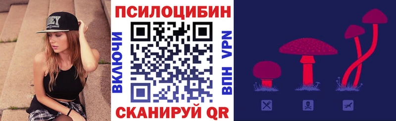 МЕГА ссылки  Новая Ляля  Галлюциногенные грибы Cubensis 